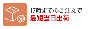 17時までのご注文で最短当日出荷