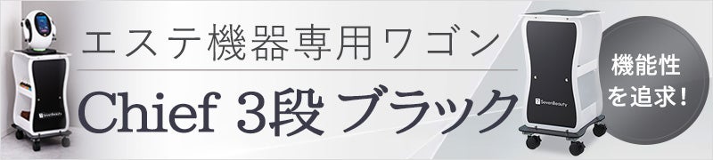 Chief3段ブラック