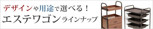 エステワゴンまとめ