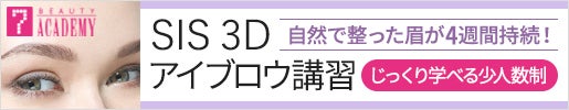 SIS 3Dアイブロウ講習