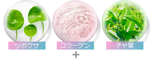 ツボクサエキス コラーゲン チャ葉