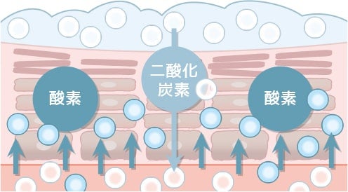 二酸化炭素を送り込むことで、酸素を放出させる