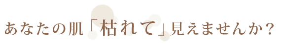 あなたの肌「枯れて」見えませんか？