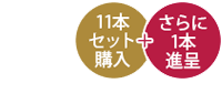 CCクリーム 11+1本