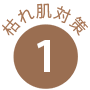 枯れ肌対策1