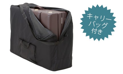 専用のキャリーバッグ付き