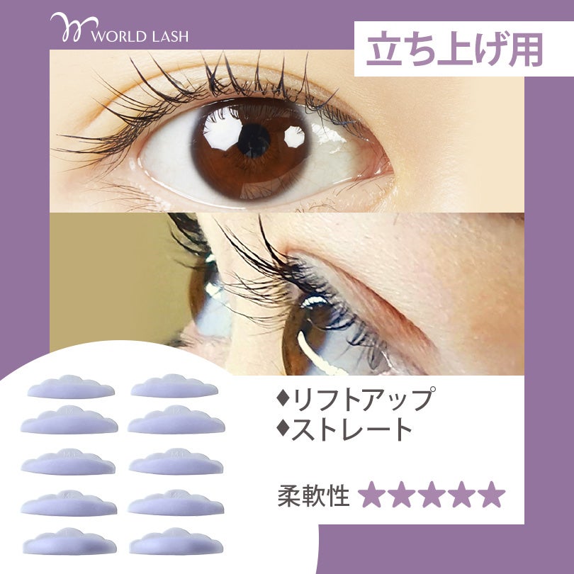 WORLD LASH 立ち上げ用
