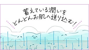蓄えている潤いをどんどんお肌へ送り込む！