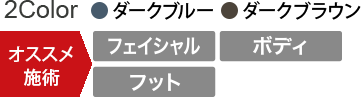 ダークブルー・ダークブラウンの2色 オススメ施術：フェイシャル・ボディ・フット