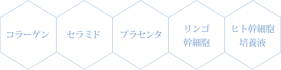 コラーゲン／セラミド／プラセンタ／リンゴ幹細胞／ヒト幹細胞培養液