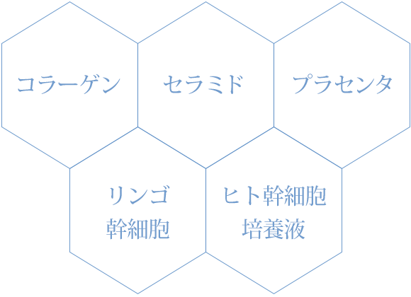 コラーゲン／セラミド／プラセンタ／リンゴ幹細胞／ヒト幹細胞培養液