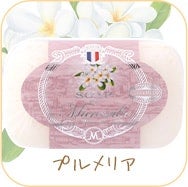 プルメリア