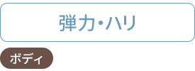弾力・ハリ：フェイシャル・ボディ