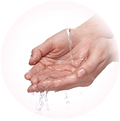 手を洗い水気を取ります