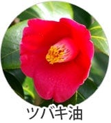 ツバキ油