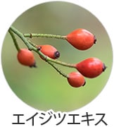 エイジツエキス