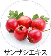 サンザシエキス