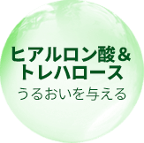 ヒアルロン酸＆トレハロース うるおいを与える
