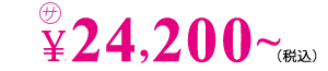 24,200~円(税込)