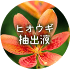 ヒオウギ抽出液