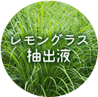 レモングラス抽出液