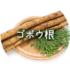 ゴボウ根