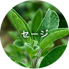 セージ