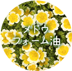 メドウフォーム油