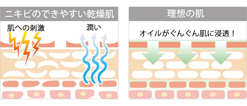 スキンケアの効果を高める導入美容液