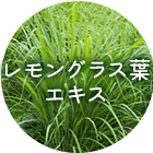 レモングラス葉エキス
