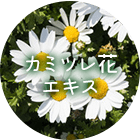 カミツレ花エキス