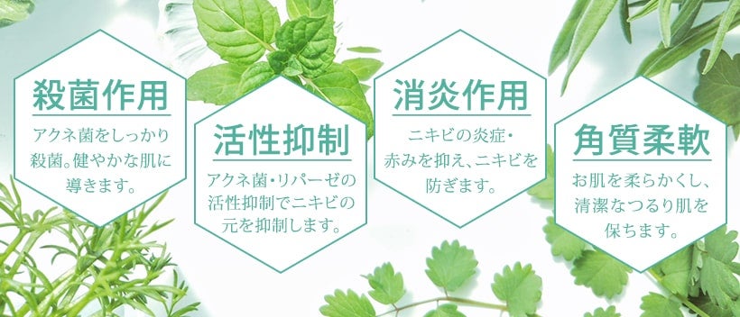 殺菌作用 活性抑制 消炎作用 角質柔軟