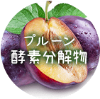プルーン
                        酵素分解物