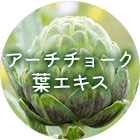 アーチチョーク葉エキス