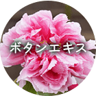 ボタンエキス