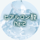 ヒアルロン酸Na-2