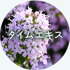 タイムエキス