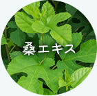 桑エキス