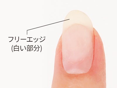 ベースジェル