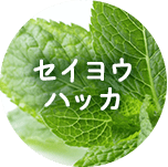 セイヨウハッカ
