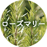 ローズマリー