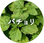 パチョリ
