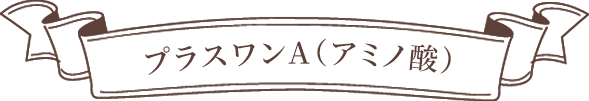 プラスワンA