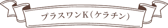プラスワンK