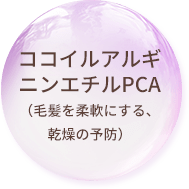 ココイルアルギニンエチルPCA