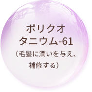 ポリクオタニウム-61