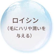 ロイシン