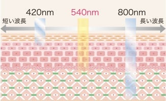 肌表面の美しさをスピーディーに引き出す540nm波長