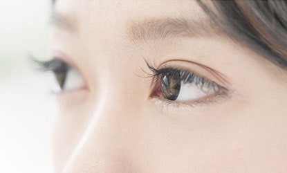 まつ毛は外敵から目を守り、ゴミや汗・紫外線などから目を保護する役目