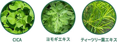 成分